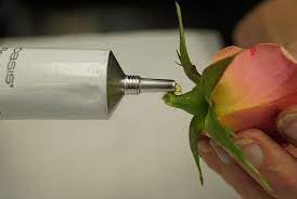Pac o 39 Oasi Flora Adhesiv Tube