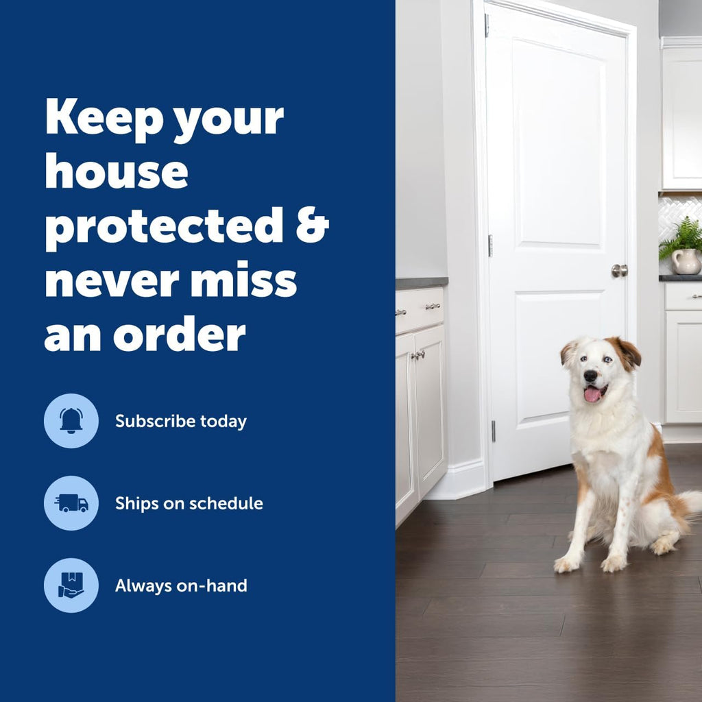 PetSafe SSSCAT Automatic Spray Pet Deterrent - Contactless Behavior Correction - Motion Sensor Air Burst - Odorless - Non-Staining - Versatile Placement Spray - Refill Can