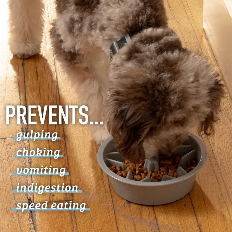 Leash Boss Slow Feeder Dog Bowls - 1.5 Cup, Puzzle Dog Food Bowl with Feeder Holes, Fits into Elevated Pet Feeders, Slow Eating for Large, Medium Small Sized Breeds, Blue