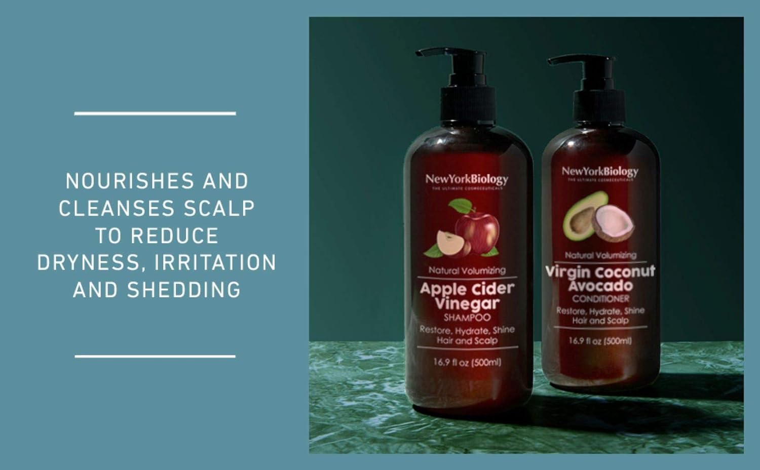 New York Biology Apple Cider Vinegar Shampoo - Helps Restore Shine, Hair Gloss and Hydration to Dry Hair and Itchy Scalp ¨C Clarifying and Nourishing ¨C Safe for All Hair Types - 16.9 fl Oz