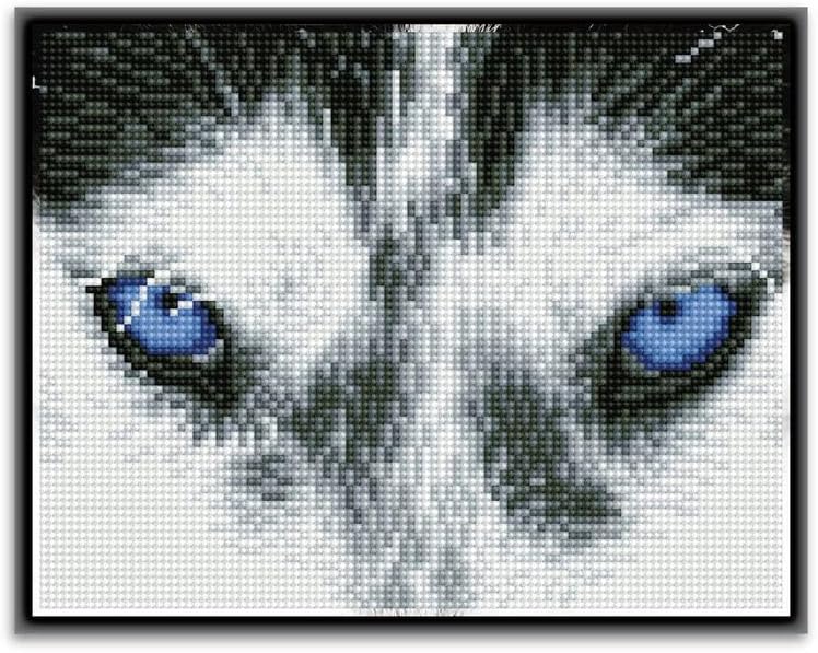 DIAMON DOT Mysti Husk Pre-Frame Ki Do Diamon Paintin Kit fo Adult Diamon Ar Kit Relaxin Creativ Craf Ki wit Dot Gem 10inchx8inch