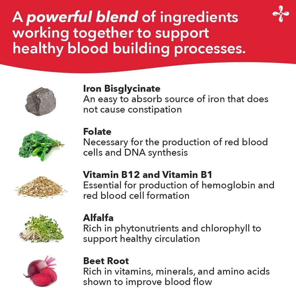 LifeSeasons Blood Nourish-R - Iron Deficiency Supplement - Supports Anemia, Fatigue, Paleness & Dizziness - No Constipation - Blood Building - Iron, Alfalfa, Raspberry & Vitamin B-12-60 Capsules