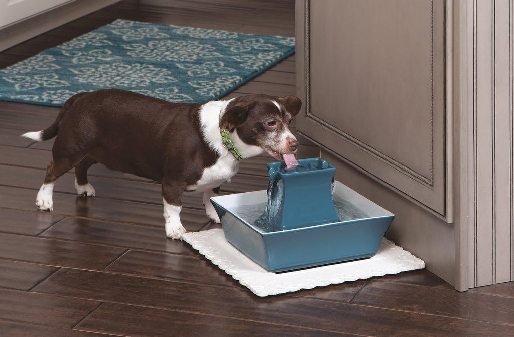 PetSaf Drinkwel Pagod Fountai Hygieni Cerami Continuou Flowin Fountai Elevate Uppe Bow Doubl Free-Fallin Strea Desig Minimalis Pe Hydratio Statio 7 o Capacity