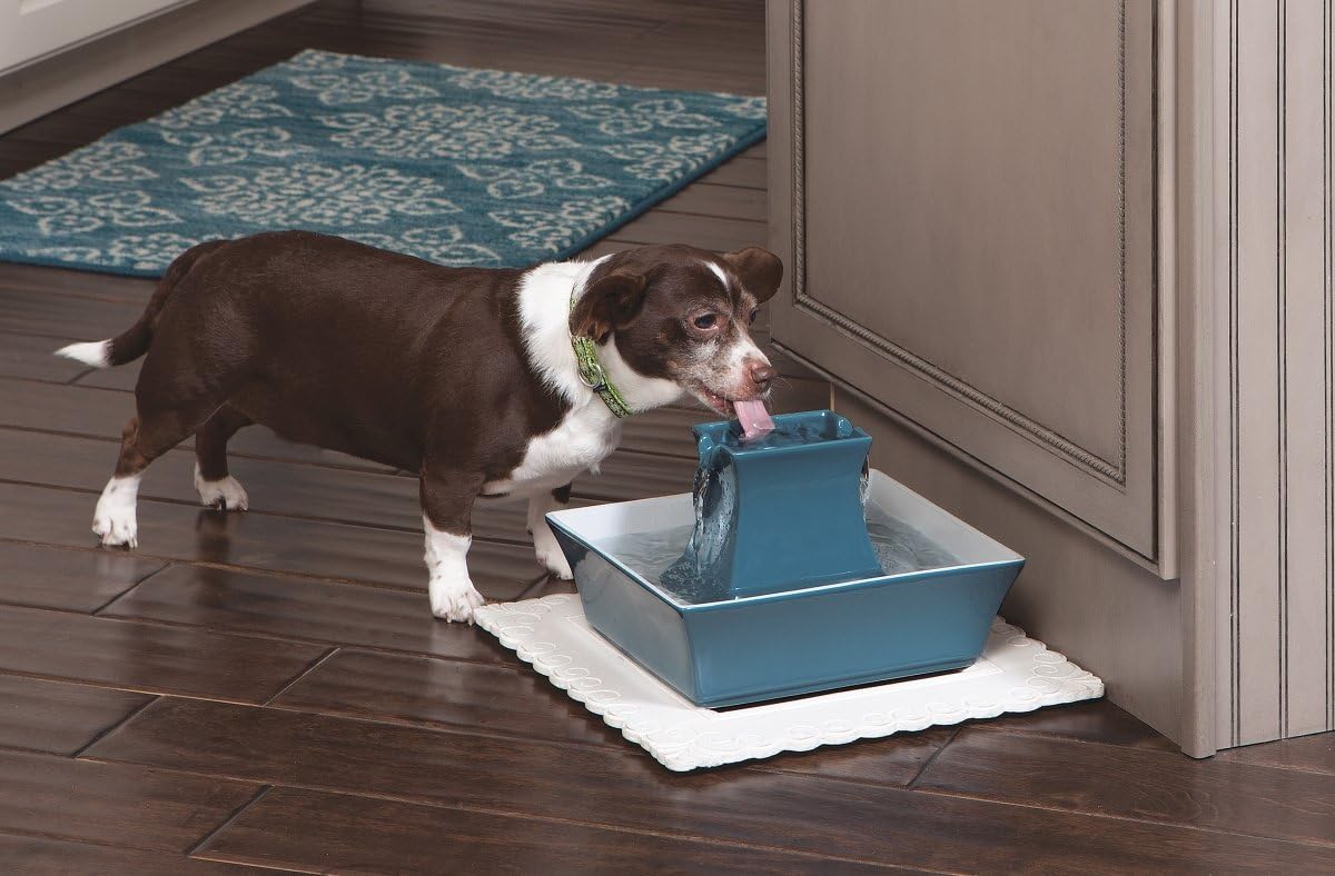 PetSaf Drinkwel Pagod Fountai Hygieni Cerami Continuou Flowin Fountai Elevate Uppe Bow Doubl Free-Fallin Strea Desig Minimalis Pe Hydratio Statio 7 o Capacity