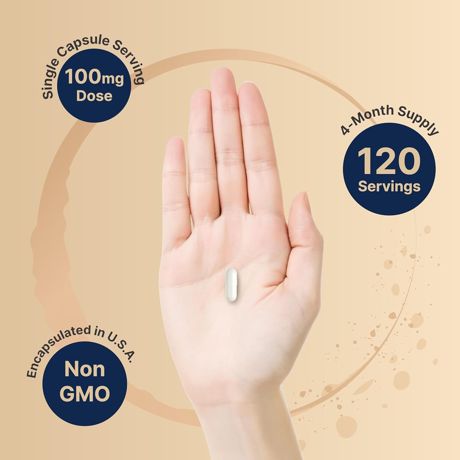 NatureBel DHE 100mg 24 Capsule Ma Strength Micronize Grad fo Bette Absorptio Support Energ Level Metabolism an Health Agin fo Me an Wome Non-GMO Mad i U.S.A