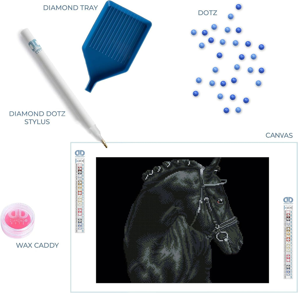 DIAMON DOT Blac Shee Hors Diamon Paintin Kit fo Adult Diamon Ar Kit Relaxin Creativ Craf Ki wit Dot Gem 16.5inchx20.5inch