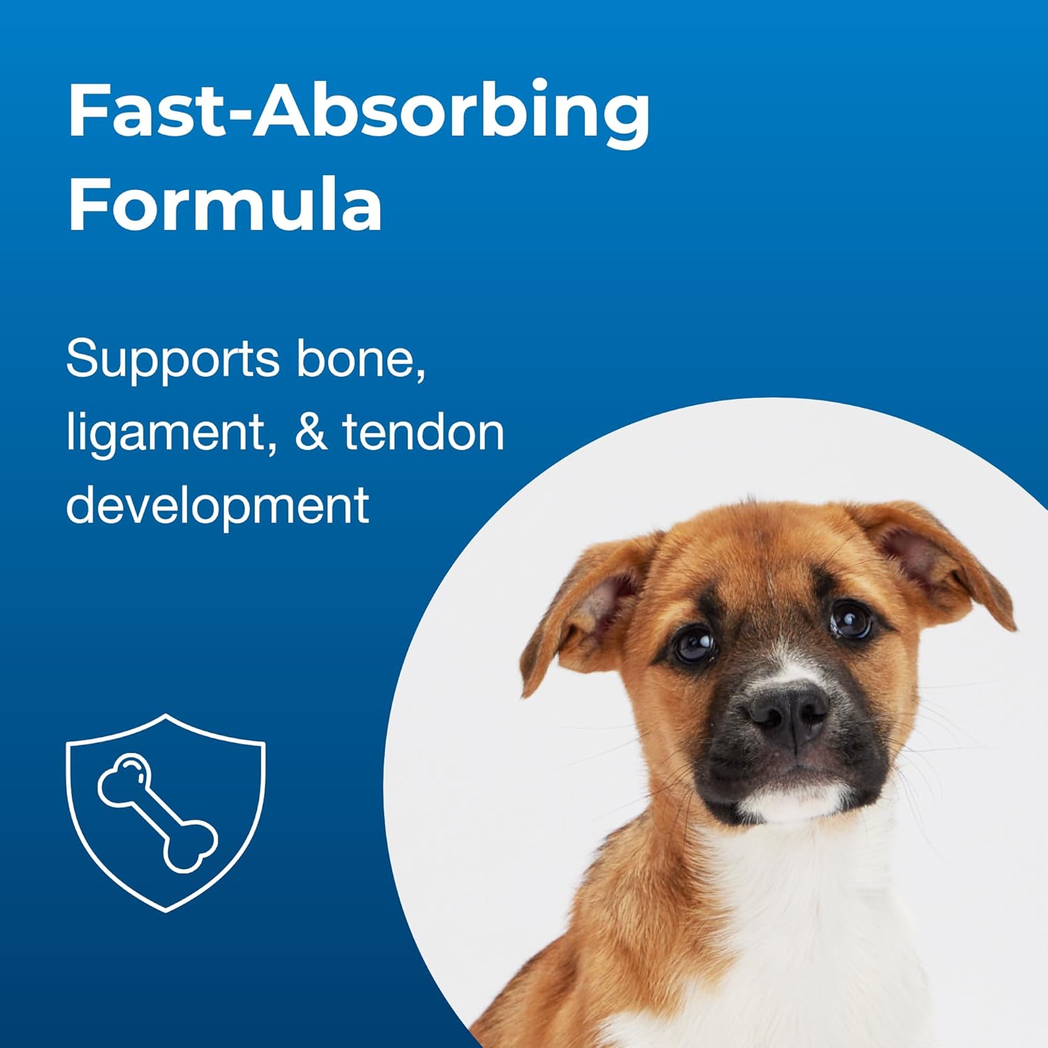 PetA Sur Gro 10 Promote Optima Bon Developmen i Puppie Eigh Week an Olde wit Calcium Phosphorus an Vitamin  10 Chewabl Tablets