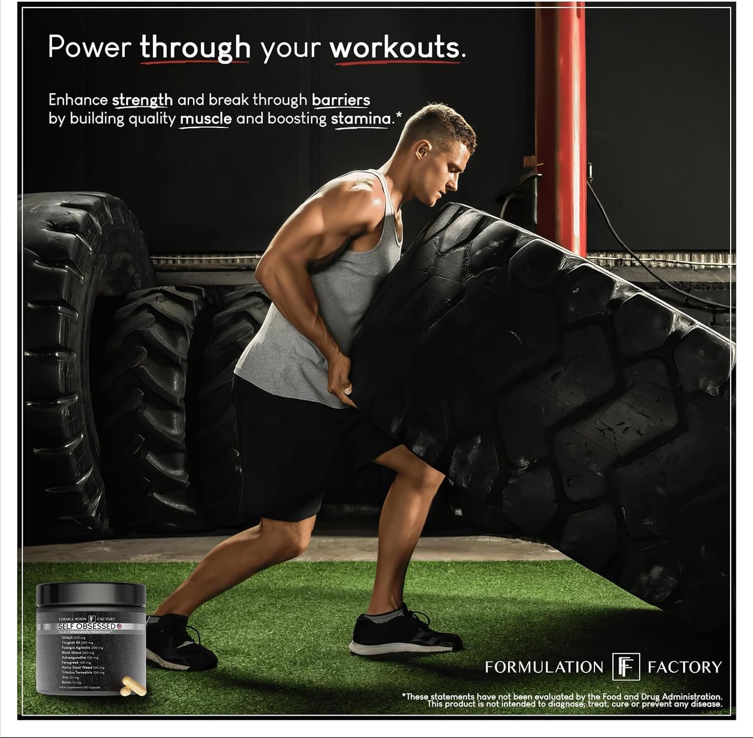 Formulation Factory Self Obsessed 10 in 1 Masculinity Maximizer Supplement, Shilajit for Men, Tongkat Ali, Ashwaganda, Fenugreek Muscle Growth, Energy, Drive, Strength, Recovery 4 Month (Pack of 2)