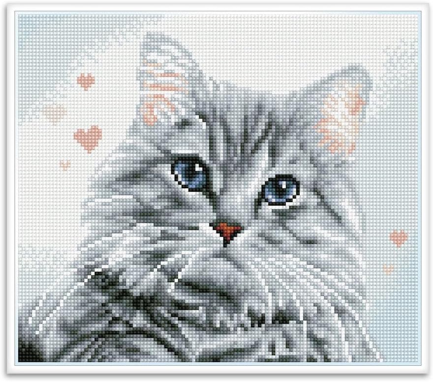 DIAMON DOT Pricill Pre-Frame Ki Ca Diamon Paintin Kit fo Adult Diamon Ar Kit Relaxin Creativ Craf Ki wit Dot Gem 12inchx10.5inch