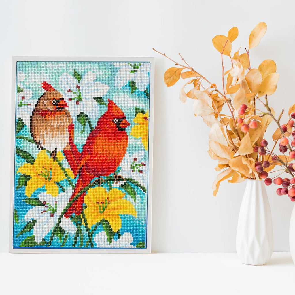 DIAMON DOT Cardina Famil Bird Diamon Paintin Kit fo Adult Diamon Ar Kit Relaxin Creativ Craf Ki wit Dot Gem 13.8inchx9.8inch