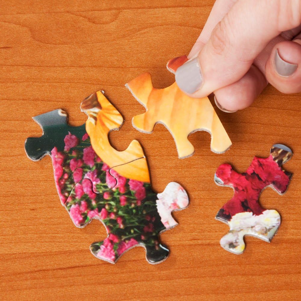 Bits and Pieces ¨C Large 300 Piece Jigsaw Puzzle for Adults ¨C Dream Landscape¡¯ by Artist Alan Giana - Jigsaw Puzzle, Completed Puzzle Size: 18inch x 24inch