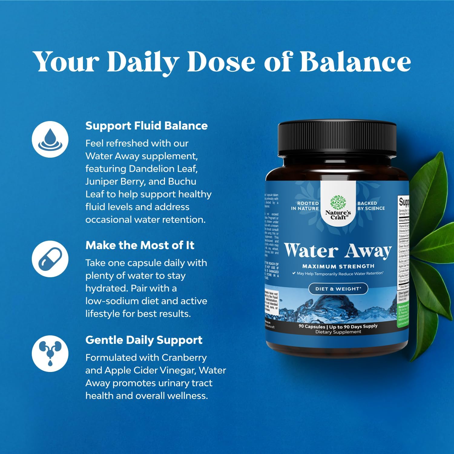 Water Away Herbal Diuretic Pills High Strength - Fluid Retention Supplement with Dandelion Leaf Extract Green Tea for Bloating Relief for Women Men - Capsules for Leg Feet Swelling - 90 Count