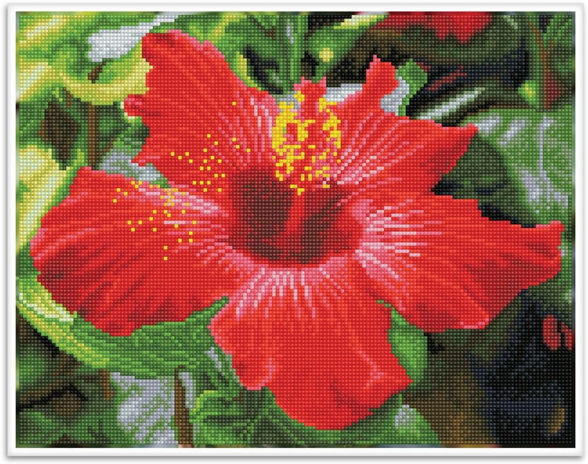 DIAMON DOT Hibiscu i Bloo Pre-Frame Ki Flowe Diamon Paintin Kit fo Adult Diamon Ar Kit Relaxin Creativ Craf Ki wit Dot Gem 12.2inchx16.1inch