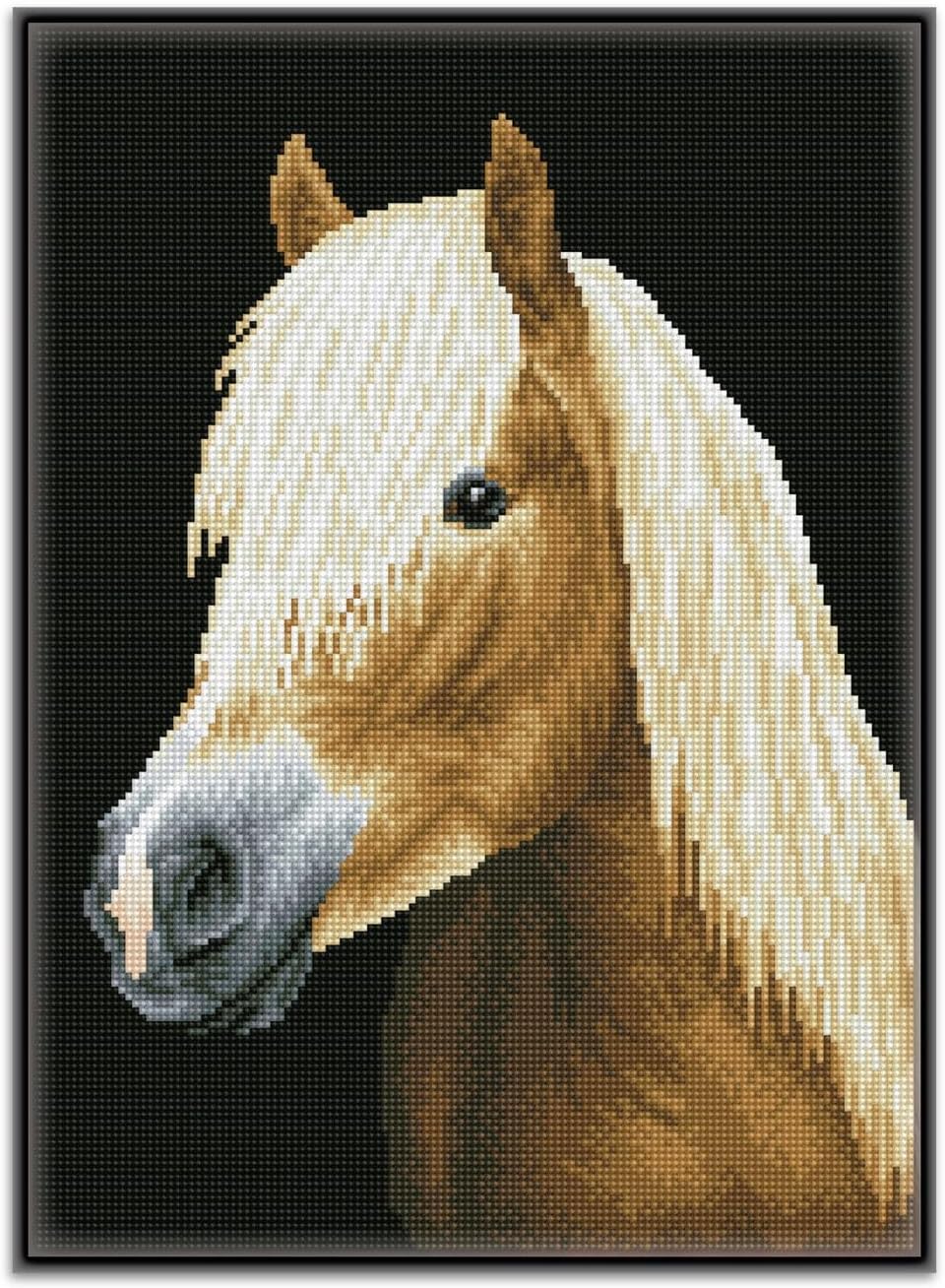 DIAMON DOT Cheste Pre-Frame Ki Hors Diamon Paintin Kit fo Adult Diamon Ar Kit Relaxin Creativ Craf Ki wit Dot Gem 13inchx18.5inch