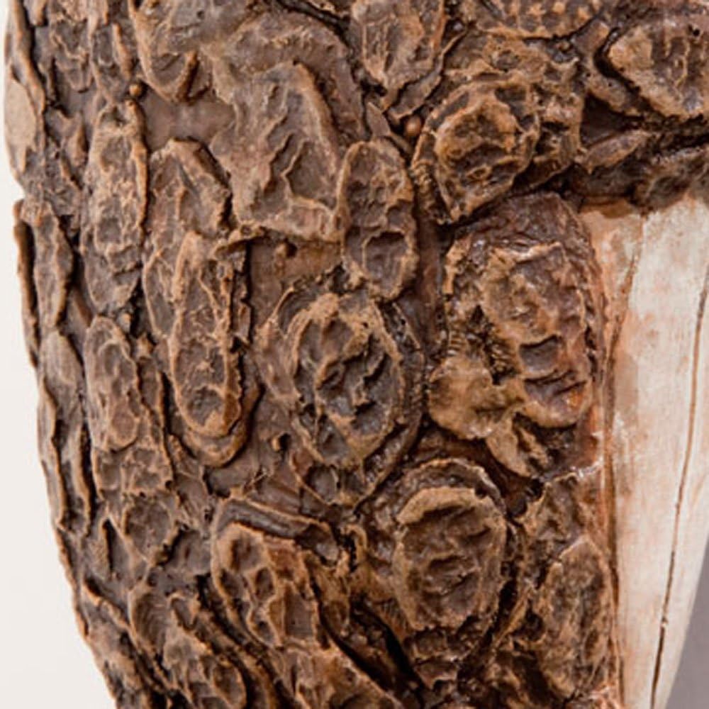 Bit an Piece Kee Quie Fro Tre Peeke Adorabl Tre Sculptur Garde Decoratio Yar Art