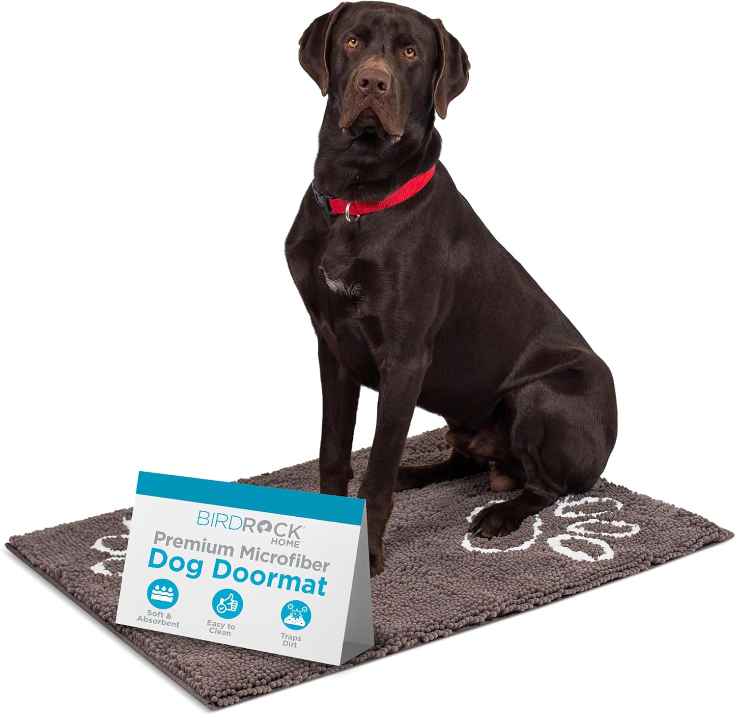 Internet's Best Chenille Dog Doormat - 35 x 25 - Absorbent Surface - Non-Skid Bottom - Protects Floors - Grey