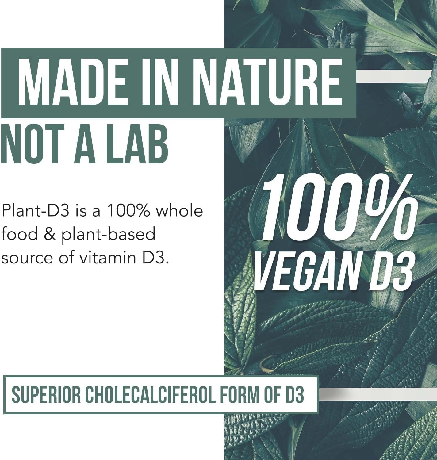 Organic Vitamin D3 5,000 IU - 100% Whole Food & Plant-Based Cholecalciferol Form, 100% Vegan Vitamin D - Enhanced with Prebiotic & Superfood Complex ¨C Organic, Vegan, GMO & Gluten Free (60 Capsules)