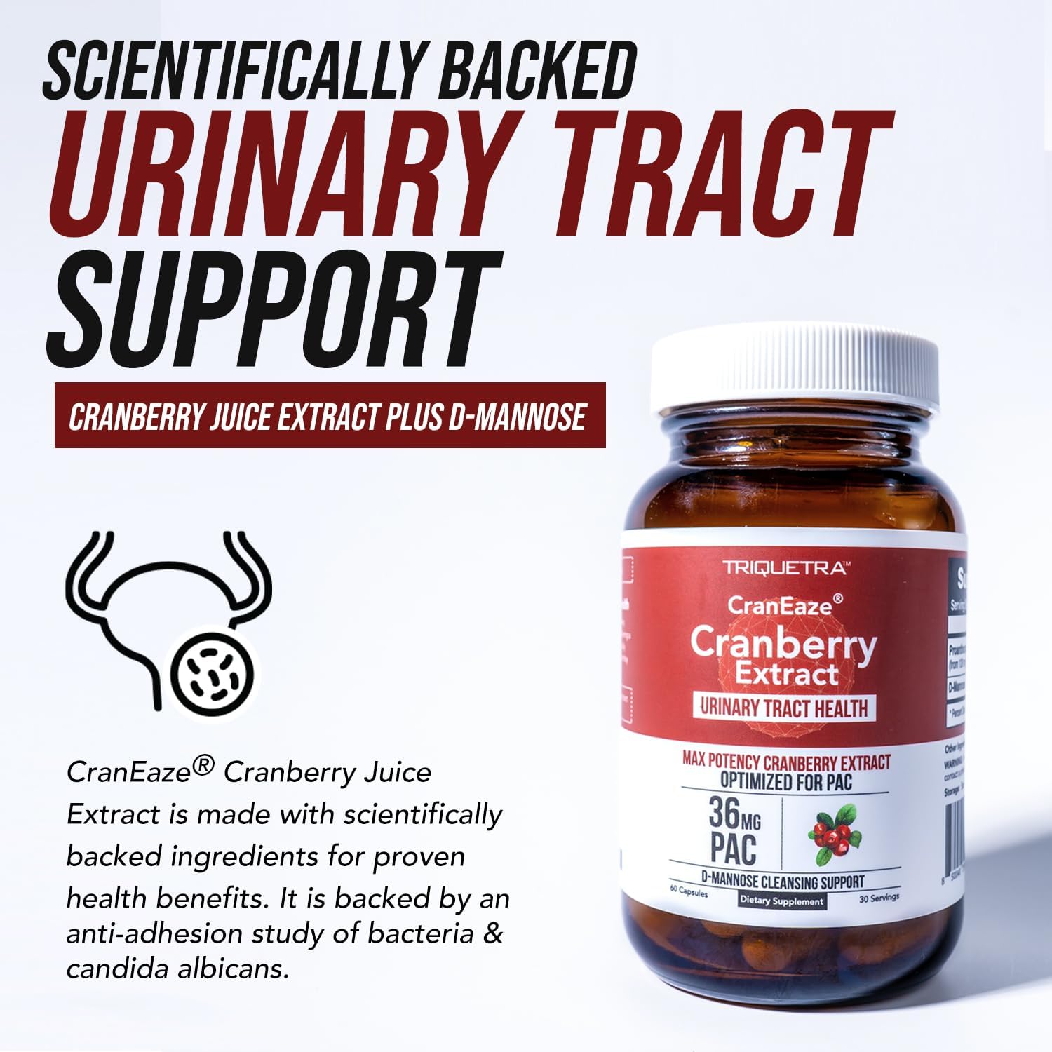 CranEaze: Cranberry Juice Extract Plus D-Mannose ¨C 36 mg PAC, 100% Soluble PAC - Supports Urinary Tract Health ¨C Most Effective Cranberry Pills for Women, UTI Cranberry Supplement - 60 Capsules