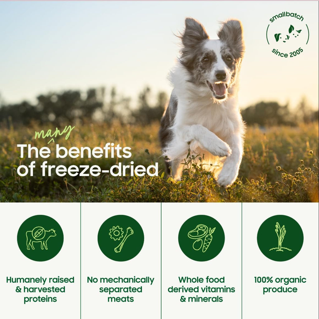 smallbatch Pets Freeze Dried Raw Dog Food, Lamb Recipe, 14 oz, Organic High Protein Dog Food, Grain Free, Made in The USA, Humanely Raised Meat, Single Protein, for Picky Eaters, Hydrate & Serve