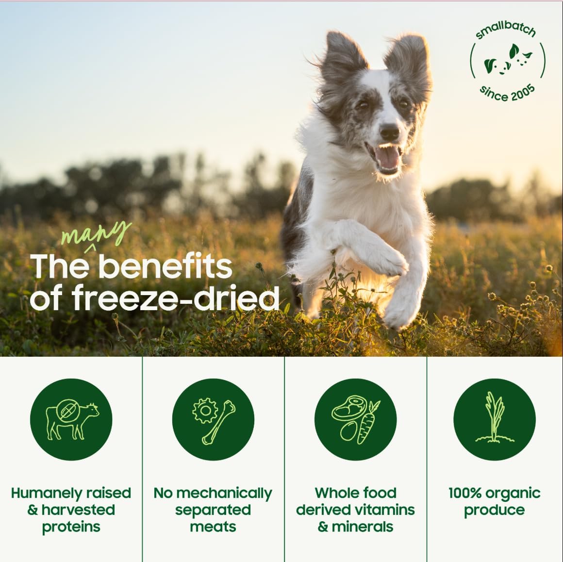 smallbatch Pets Freeze Dried Raw Dog Food, Lamb Recipe, 14 oz, Organic High Protein Dog Food, Grain Free, Made in The USA, Humanely Raised Meat, Single Protein, for Picky Eaters, Hydrate & Serve