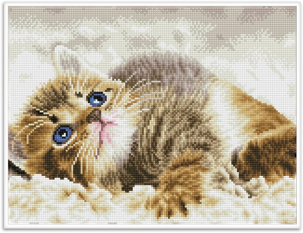DIAMON DOT Bab Pi Pre-Frame Ki Ca Diamon Paintin Kit fo Adult Diamon Ar Kit Relaxin Creativ Craf Ki wit Dot Gem 16inchx12inch