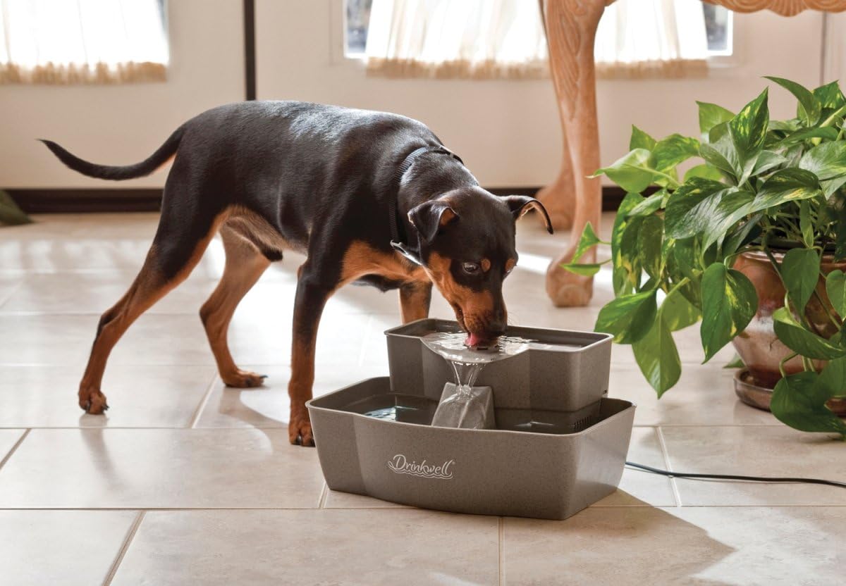 PetSaf Drinkwel Multi-Tie Pe Fountai Encourage Hydratio fo Cat Dog Large-Capacit Watere Doubl Tie Filtere Fountai wit Carbo Filte 10 o Wate Capacity