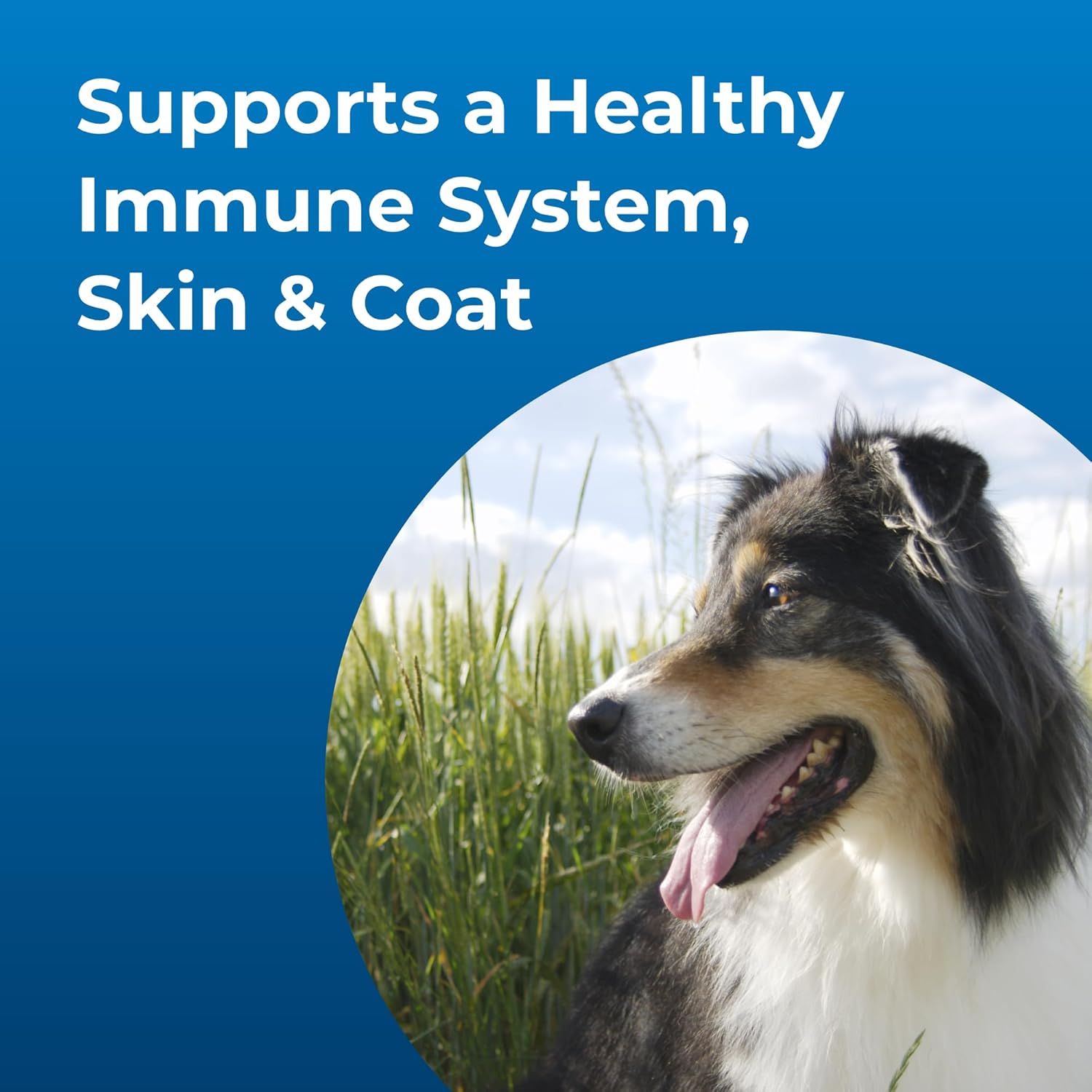 PetA Dyn Hig Calori Liqui Nutritiona Supplemen fo Dog Puppie Week an Olde  Gallo Support Performanc an Enduranc Swee Vanill Flavor