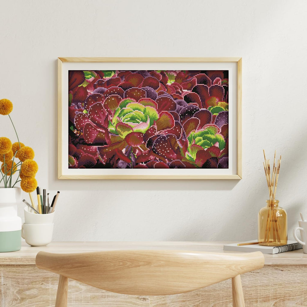 DIAMON DOT Succulent Diamon Paintin Kit fo Adult Diamon Ar Kit Relaxin Creativ Craf Ki wit Dot Gem 12.6x20.5