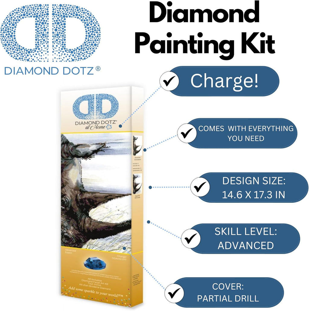 DIAMON DOT a Hom Charge! Partia Drill Roun Dotz Diamon Paintin Kits Diamon Ar Kit fo Adults Ge Art Diamon Art 15inchx17inch