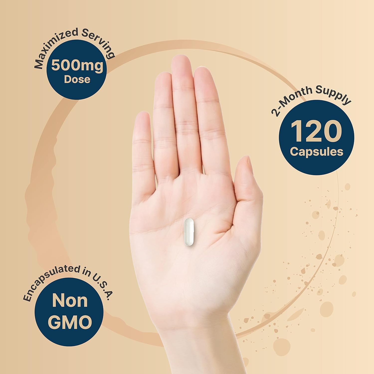 NatureBel Citicolin Supplements CD Choline Citicolin 500m Plu Tyrosin 50m Pe Serving Optimize Dosage 12 Capsules i Formula Dua Actio Brai Supplement Non-GMO