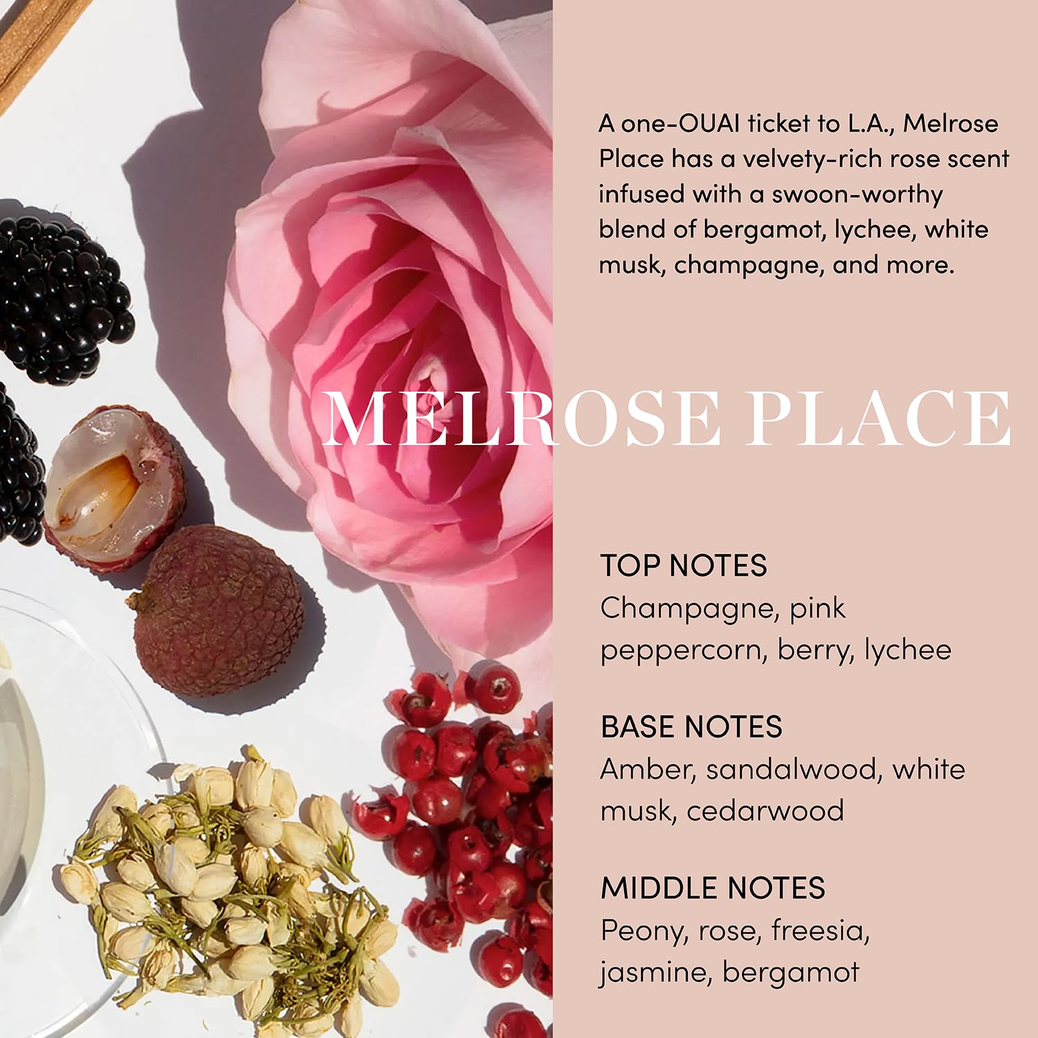 OUAI Body Cleanser, Melrose Place - Foaming Body Wash with Jojoba Oil and Rosehip Oil to Hydrate, Nurture, Balance and Soften Skin - Paraben, Phthalate and Sulfate Free Skin Care Products (10 Fl Oz)