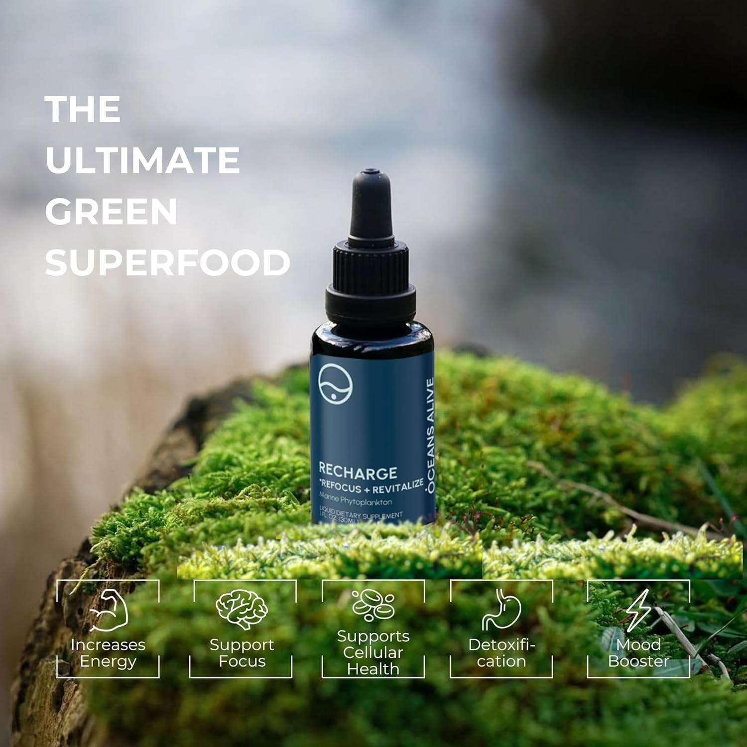 Activatio Ocean Aliv  f o (3 ml Marin Phytoplankto Supplemen Chlorophyl Mineral-Ric Formul fo Energ Focu Natura Antioxidan Drops