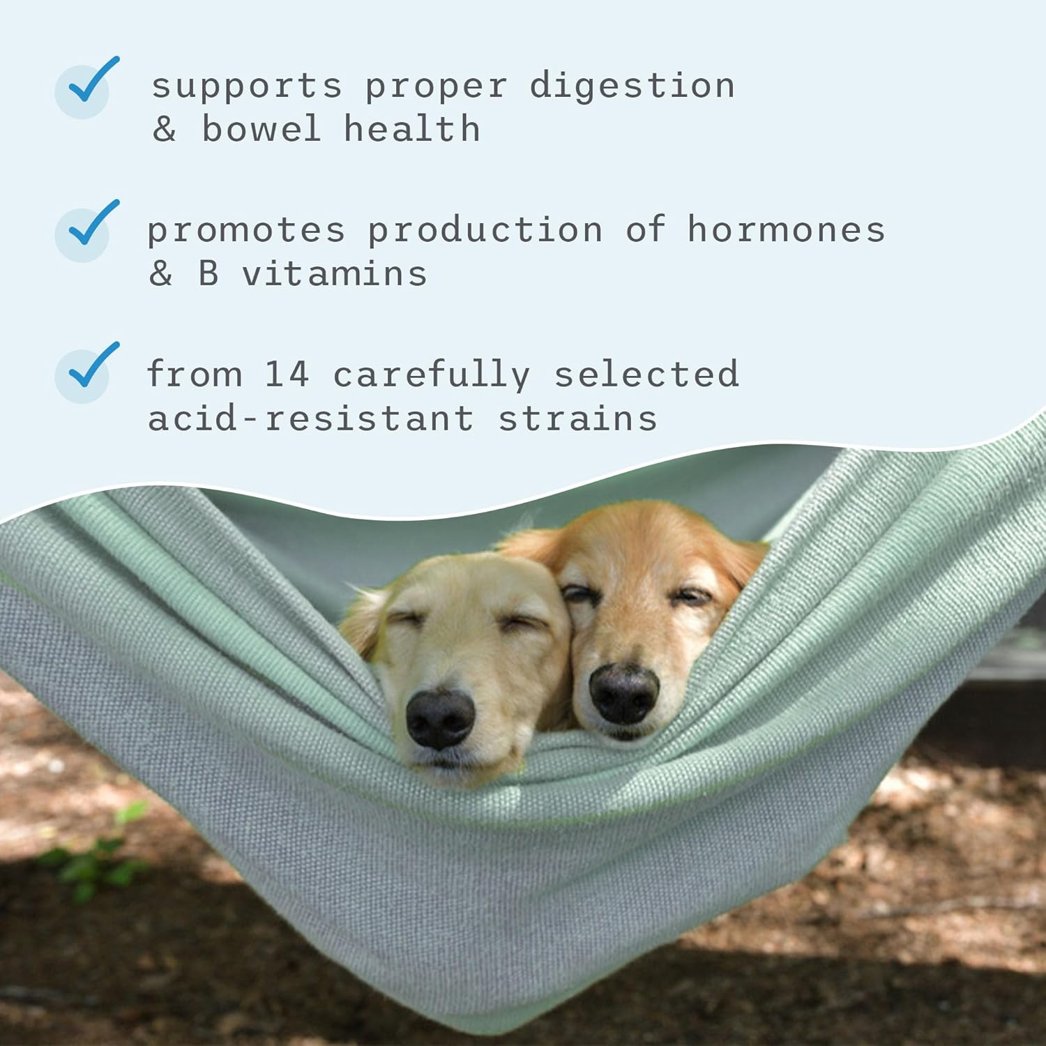 Bar Whisker Complet Probiotics fo Dog an Cats 3.1 o (9 g) Support Immun Function Digestiv Support Veterinaria Formulated No GMO Dr Mercola