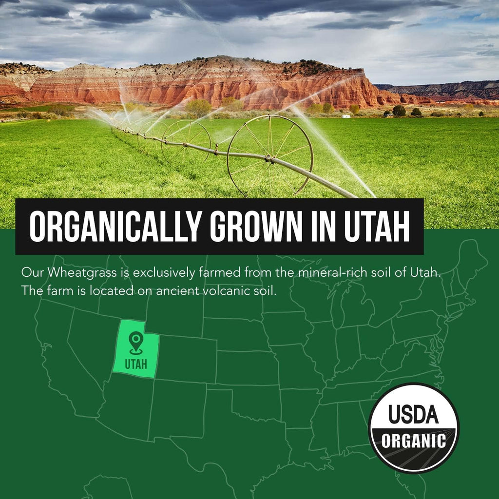 Organic Wheatgrass Juice Powder - Organic, Grown in Volcanic Soil of Utah - Raw Form, Cold-Pressed Then CO2 Dried, 20:1 Concentrate Juice Extract - Unflavored (5.3 oz ¨C 60 Servings)