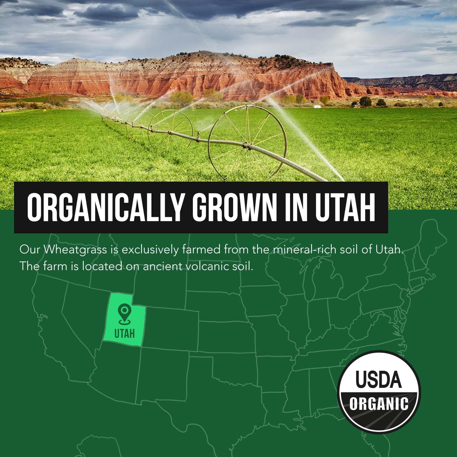Organic Wheatgrass Juice Powder - Organic, Grown in Volcanic Soil of Utah - Raw Form, Cold-Pressed Then CO2 Dried, 20:1 Concentrate Juice Extract - Unflavored (5.3 oz ¨C 60 Servings)