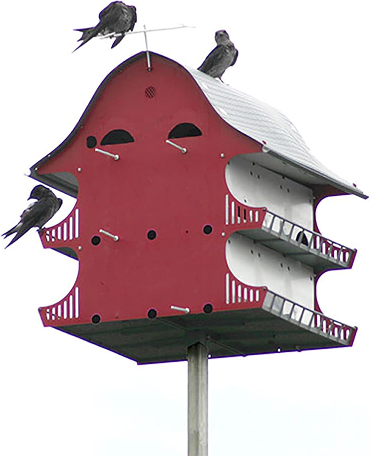 1 Famil Purpl Marti Barn Durabl Polypropylen Plastic Eas Assembly Fit S& Telescopin Pole Maintenance-Free Perfec fo Countr Home Farms