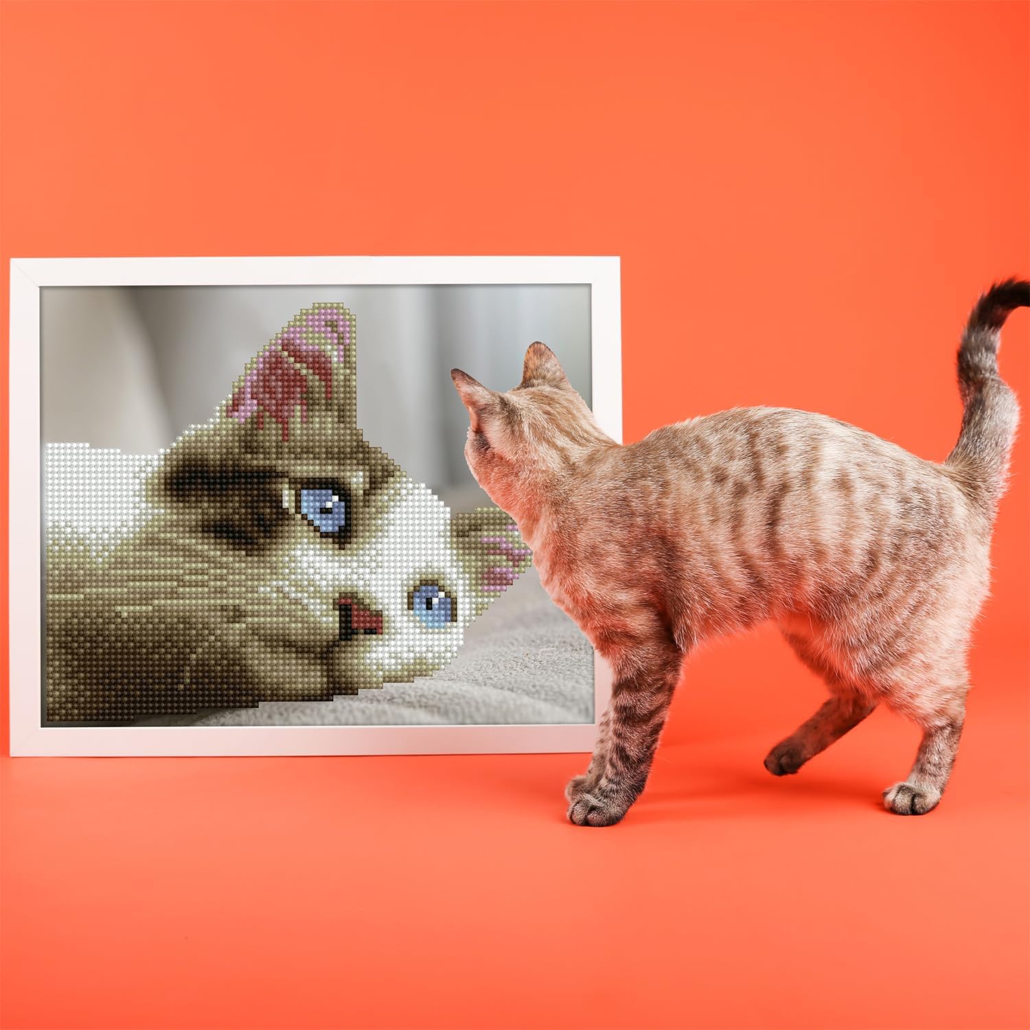 Diamon Dot Simpl DOT KIT Daydrea Kitty