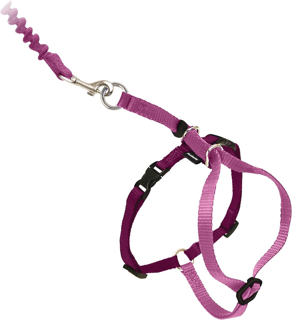 PetSafe Come with Me Kitty Cat Harness Bungee Leash - Comfortable No-Choke Harness with Lightweight Bungee Leash for Outdoor Fun - Escape Free Pulling Prevention - Large - Dusty Rose