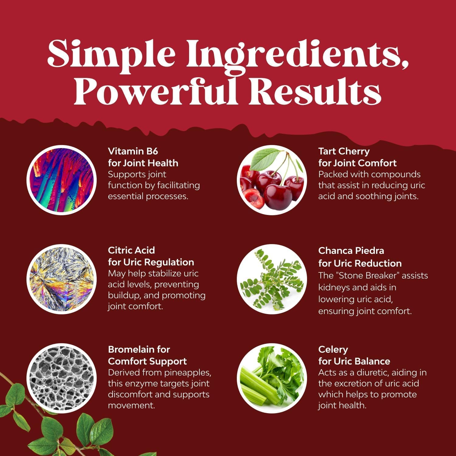 Green Coffee Bean Extract for Uric Acid Cleanse Detox - Green Coffee Beans with Turmeric, Tart Cherry Celery Seed for Adults - Daily Uric Acid Flush for Joints Support Kidney Cleanser ¨C 120 Ct