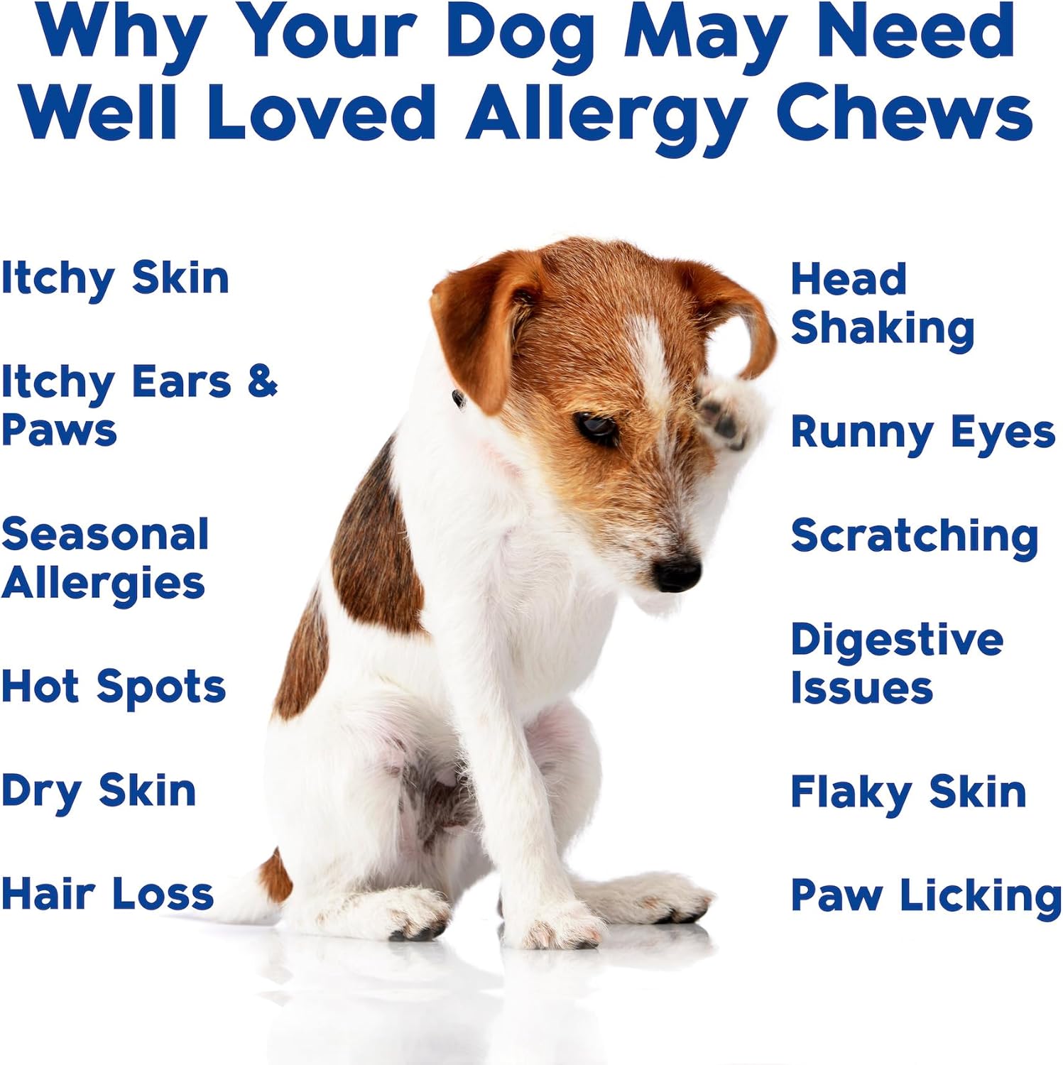 Do Allerg Chew Do Allerg Relief Itchin Ski Relief Ho Spo Treatmen Seasona Allergies Ve Developed Ant Itc Ski Irritatio Treatment Mad i USA 12 Chews