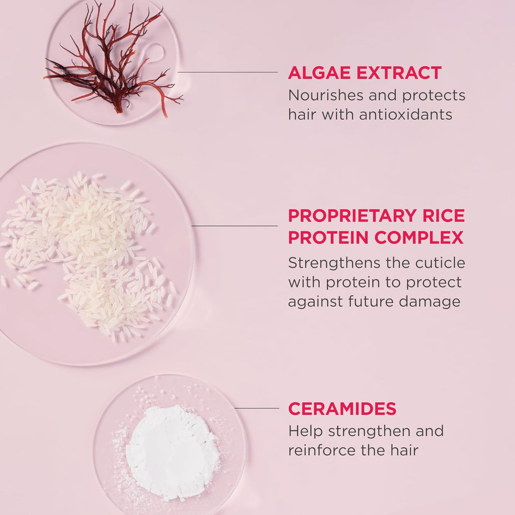 Brioge Don' Despair Repair Ric Ric Shampo Concentrate Protei Shampo fo Severel Damage Hair Water-Activate Concentrat Shampoo Vegan Cruelty-Free f oz