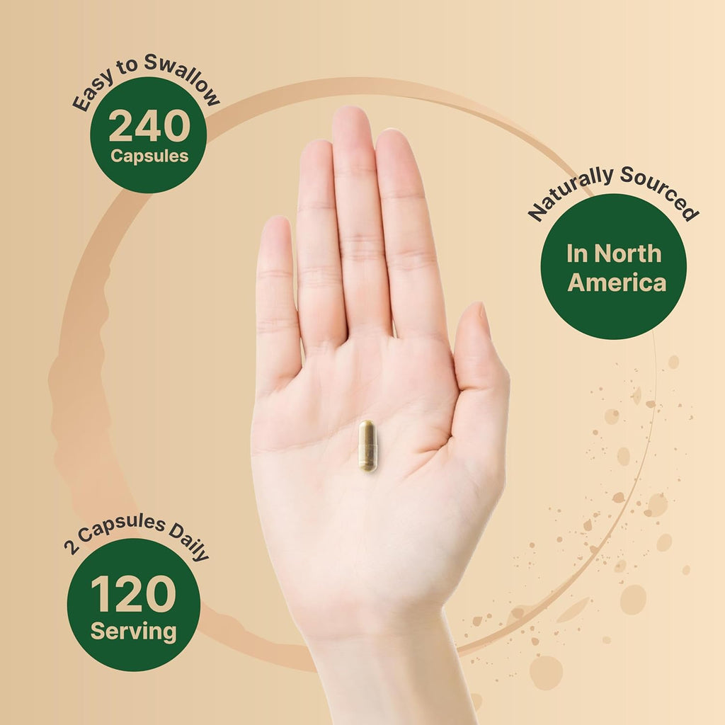 NatureBel S John Wor 9,000m Pe Serving 24 Capsule 15: Herba Extract Nort America Harvest Ric i Hyperici Positiv Moo Suppor Supplemen St John¡¯ Wor Non-GMO