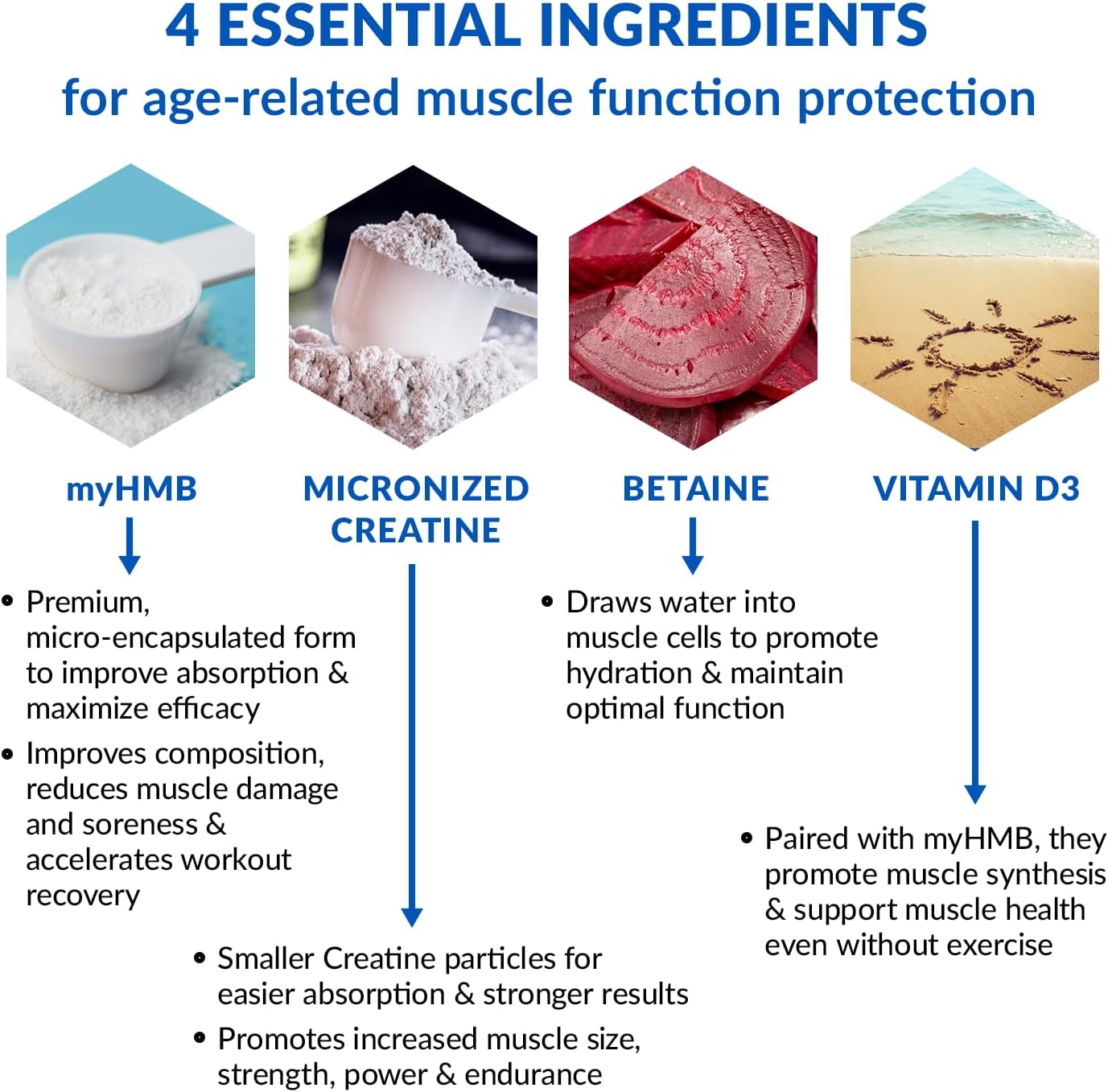 BioTrust Ageless Muscle Builder - Creatine HMB Powder with Vitamin D3 & Betaine - Build & Preserve Naturally Declining Muscle Mass & Strength - Fruit Punch, 30 Servings