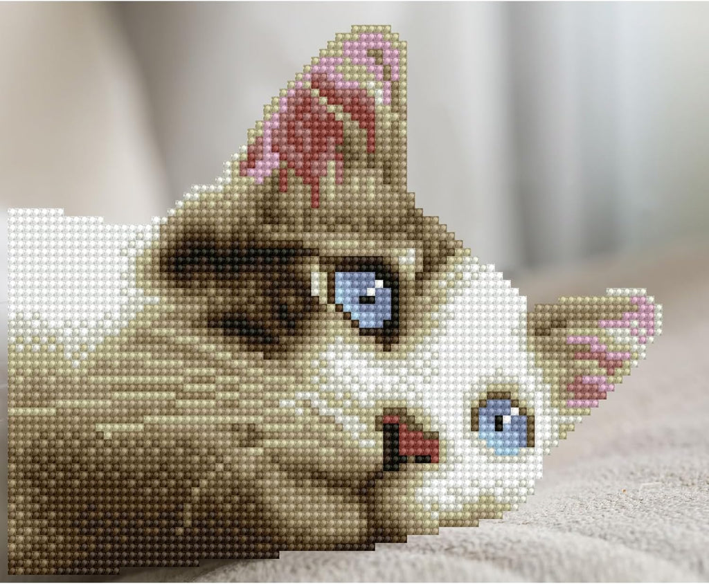 Diamon Dot Simpl DOT KIT Daydrea Kitty