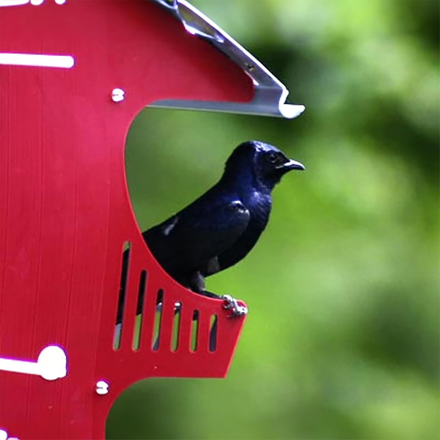 1 Famil Purpl Marti Barn Durabl Polypropylen Plastic Eas Assembly Fit S& Telescopin Pole Maintenance-Free Perfec fo Countr Home Farms