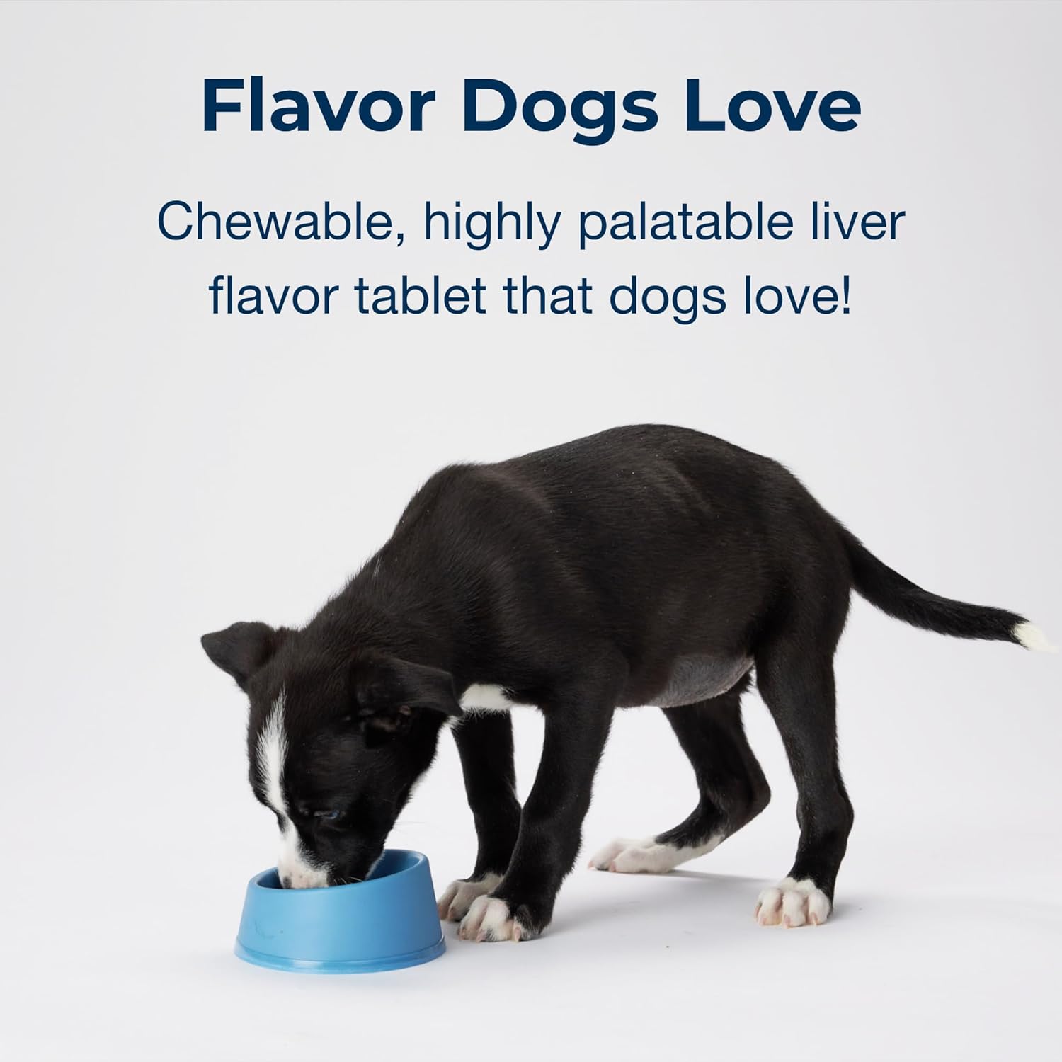 PetA Sur Gro 10 Promote Optima Bon Developmen i Puppie Eigh Week an Olde wit Calcium Phosphorus an Vitamin  10 Chewabl Tablets