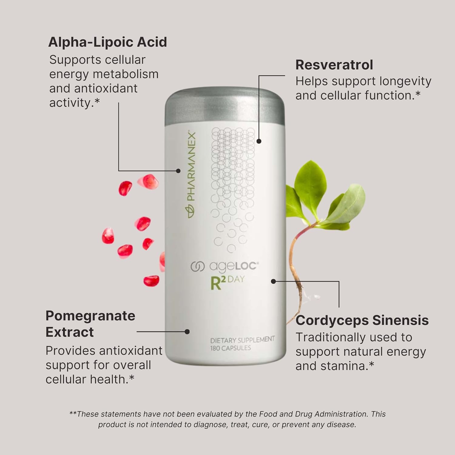 N Ski R Da (Vitality Support Cellula Purificatio an Vitality Promotin Youthfu Gen Expression