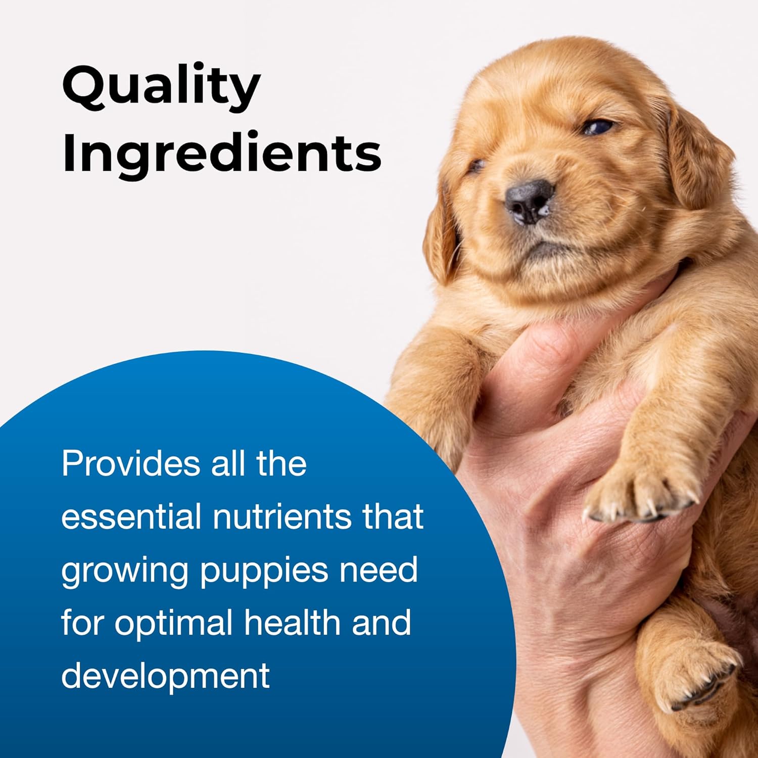 Pet-Ag Goat¡¯s Milk Esbilac Powder - 5.25 oz - Powdered Puppy Formula with Prebiotics, Probiotics Vitamins for Puppies Newborn to Six Weeks Old - For Sensitive Digestive Systems