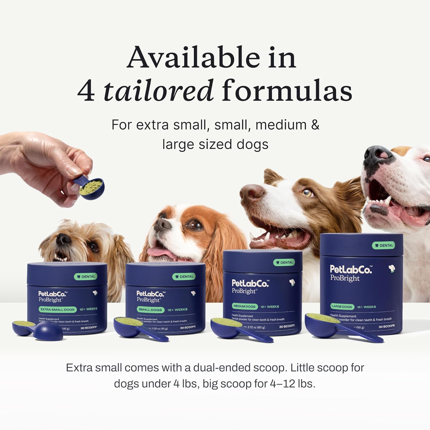 PetLab Co. ProBright Dental Powder - Dog Breath Freshener - Teeth Cleaning Made Easy ¨C Targets Tartar Bad Breath - Formulated for Small Dogs - Packaging May Vary