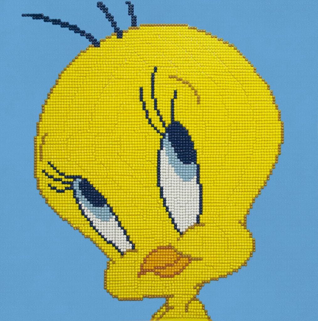 Camelo Loone Tune Tweet Bir Diamon Paintin Ki Roun Dril Pictur Ar Craf Hom 12.6inchx12.6inch